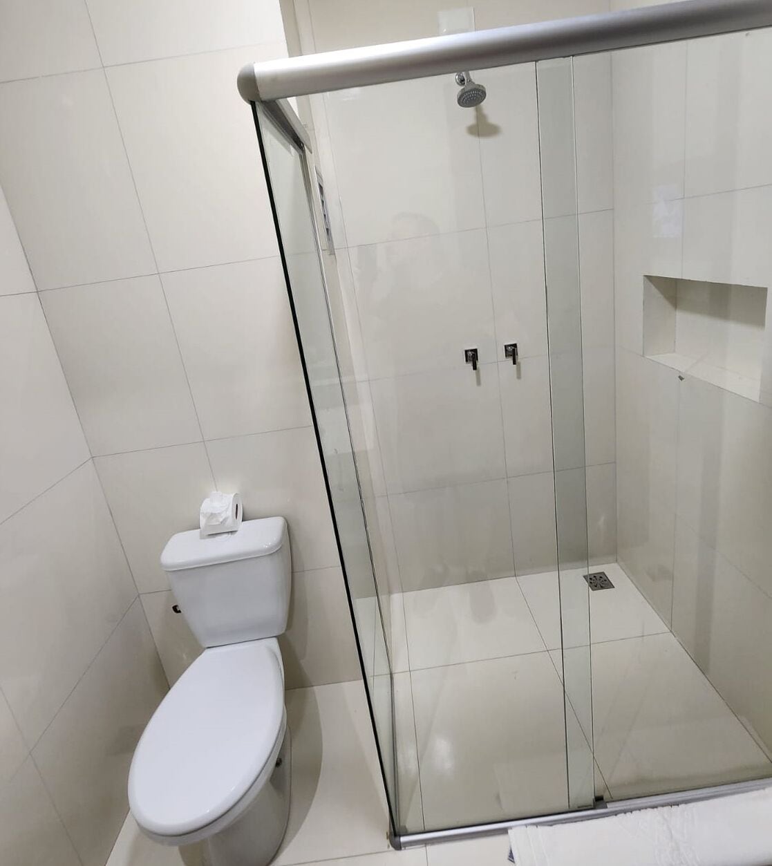 A modern bathroom with a glass-enclosed shower, a white toilet, and a small shelf.
