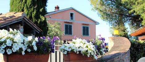 A stone wall with flower planters in front of a building with a pink facade and a chimney.