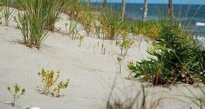 2 BR House Beach Haven Centrally located