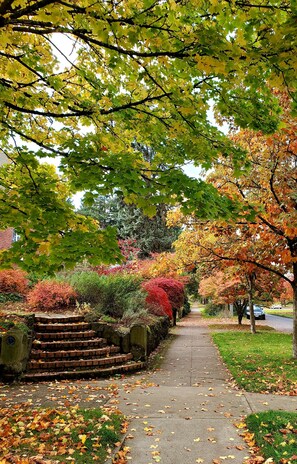 Ein Baumweg mit Herbstlaub, eine Backstein-Treppe und ein Bürgersteig.