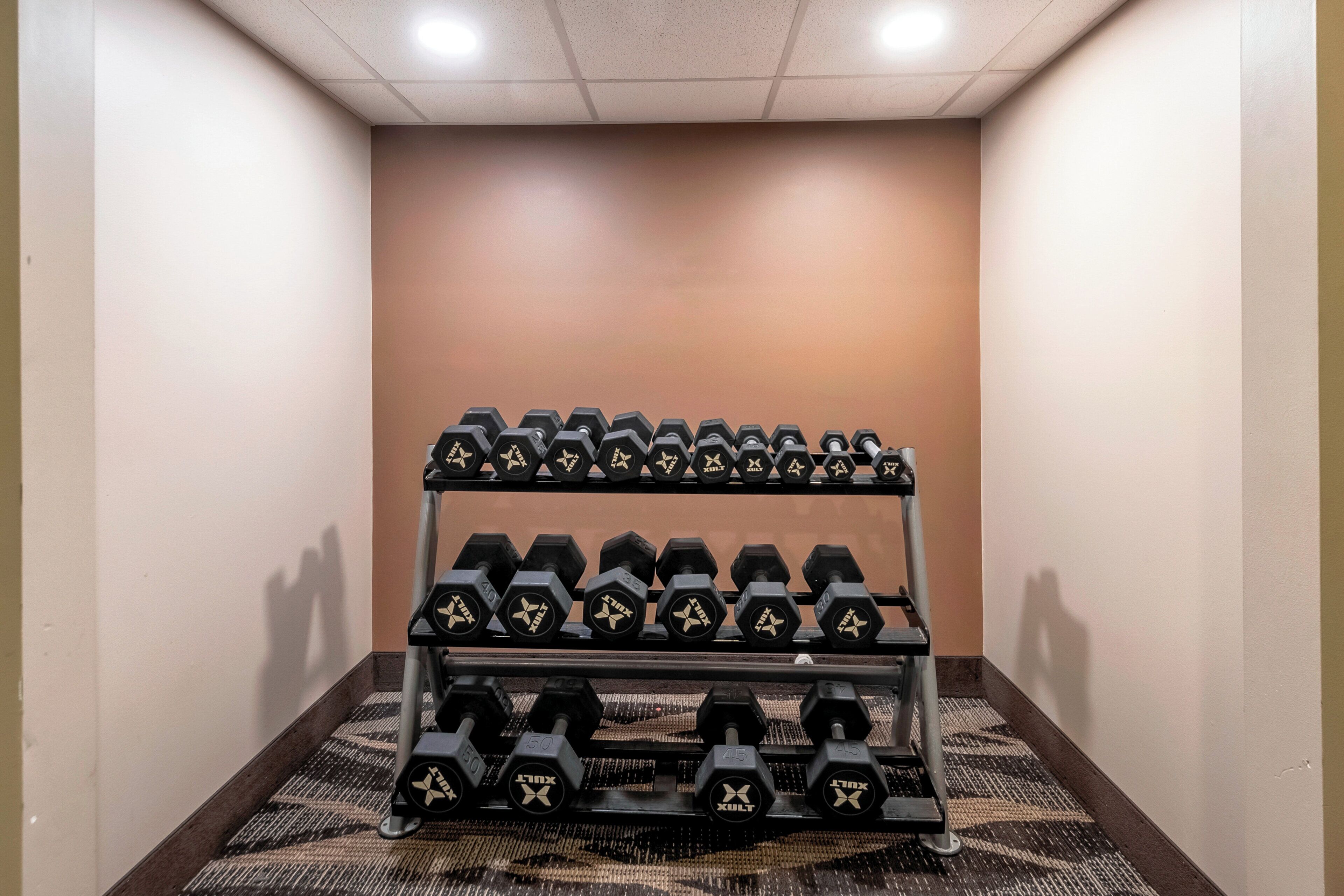 A set of dumbbells on a rack in a hotel room.