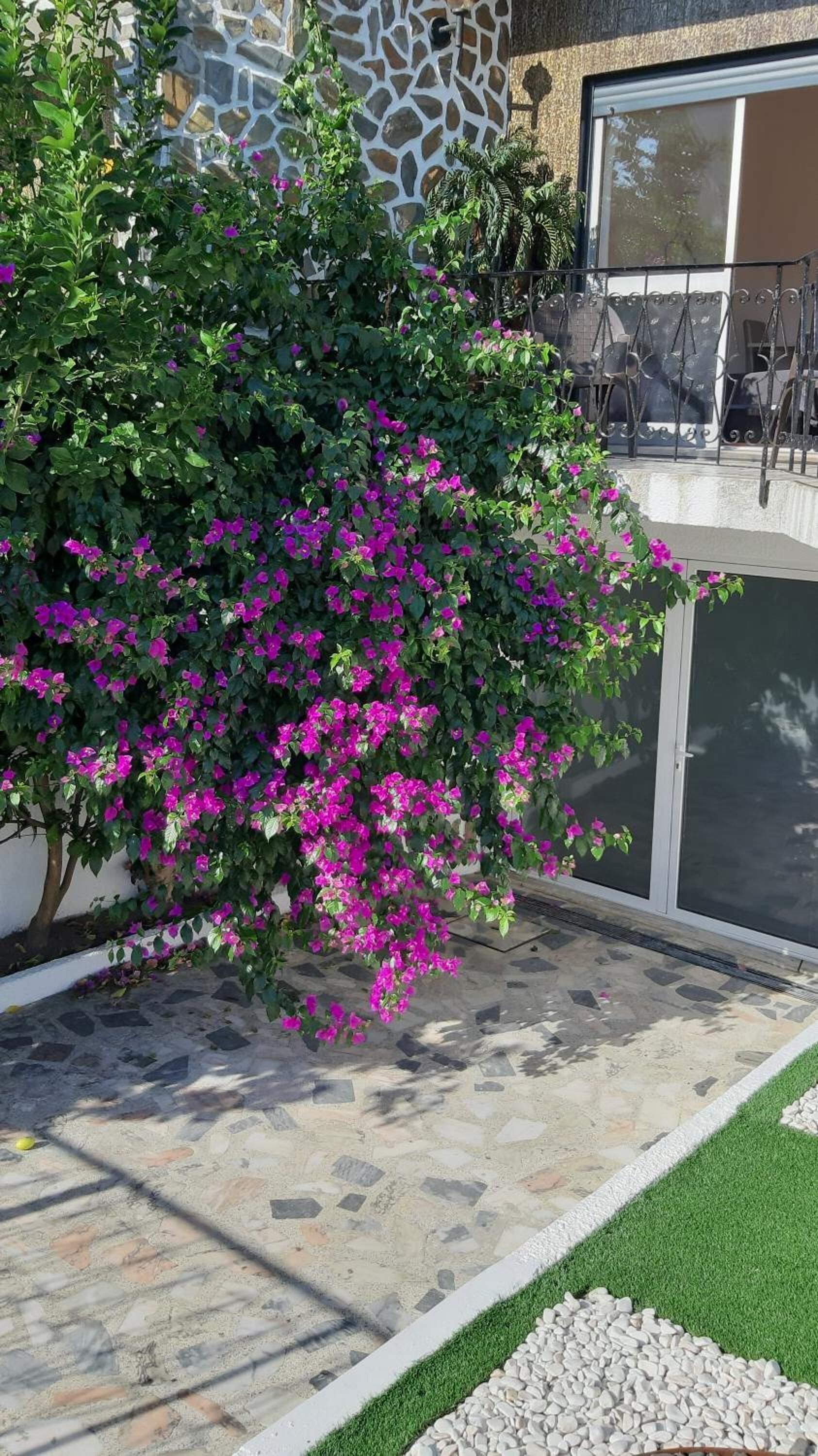 Foto - Colina Guesthouse - Braga