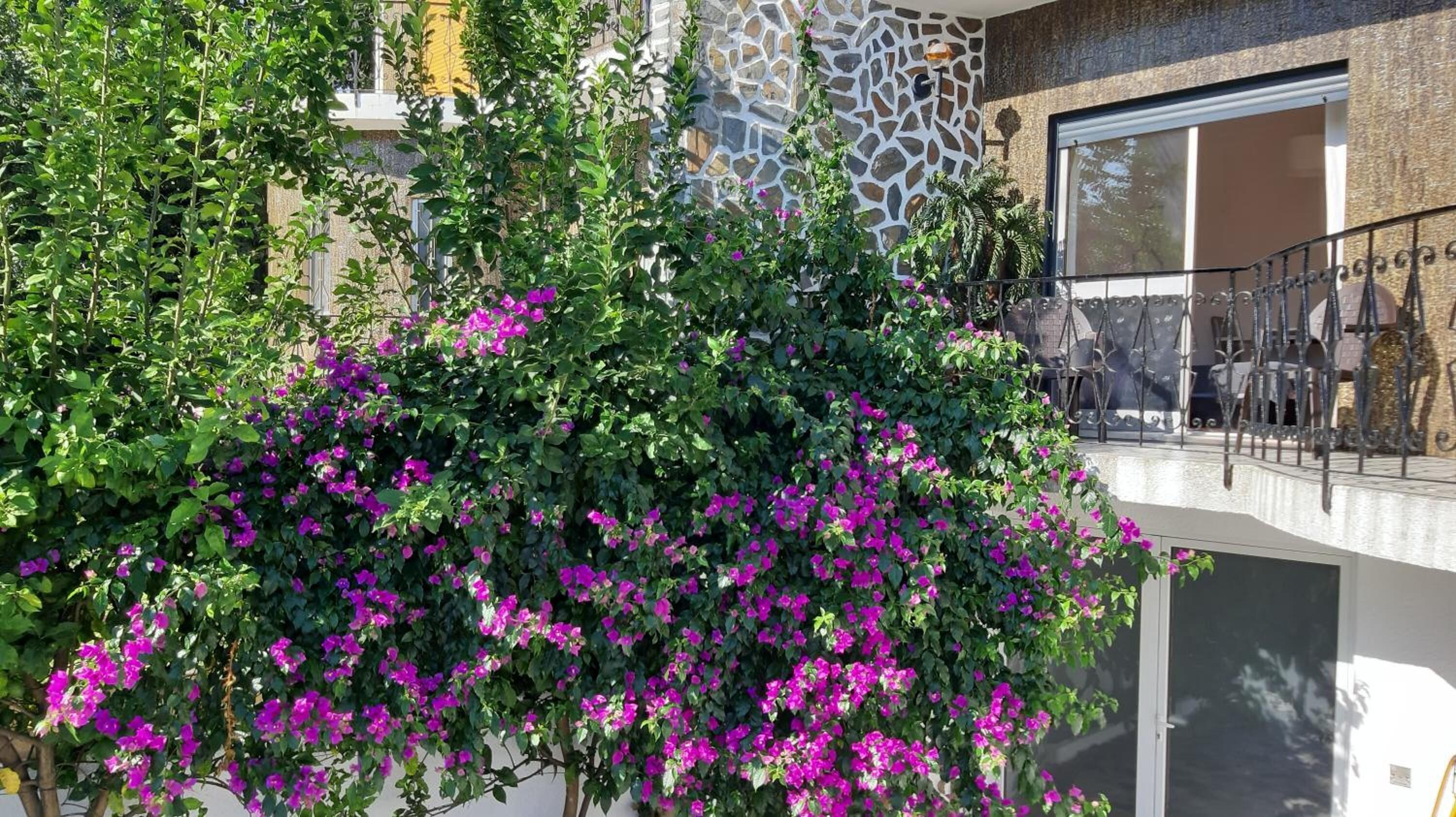 Foto - Colina Guesthouse - Braga