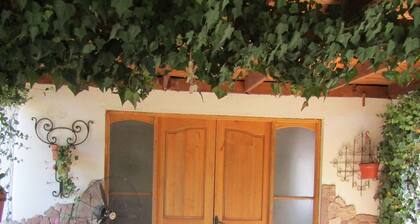 Country House, Colchagua Valley - Chile