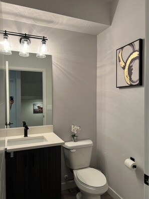 Combined shower/bathtub, hair dryer, towels, soap