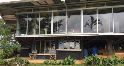 Penthouse in the jungle