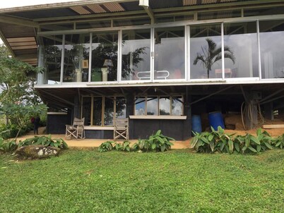 Penthouse in the jungle