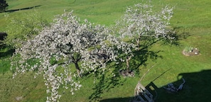 Boendeområde