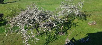 Ferienhof Ziegler: tu paraíso en la Selva Negra