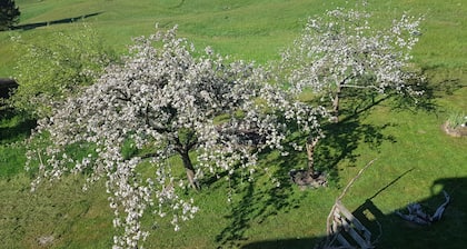 Ausspannen im Schwarzwald ? - hier sind Sie richtig!