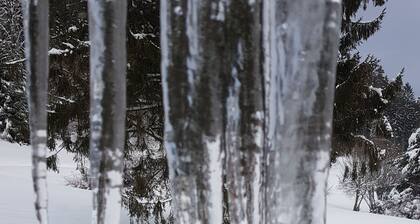 Ferienhof Ziegler - mustan metsän paratiisi