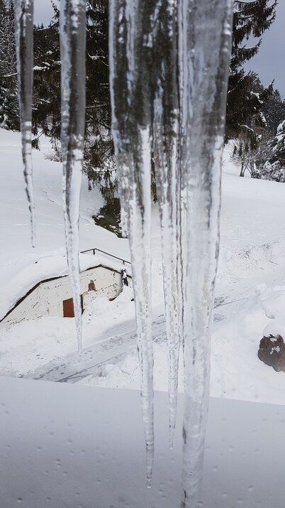 Relaxing in the Black Forest? - You've come to the right place!