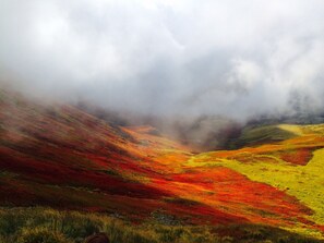 Photo non classée, 2 sur 14, bouton