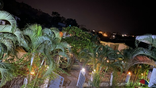 Vista nocturna de un jardín con palmeras y un camino pavimentado que lleva a un edificio.