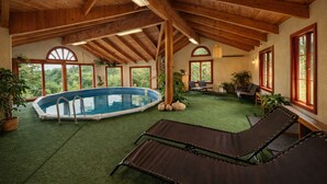 Piscina interna con soffitto in legno e ampie finestre.