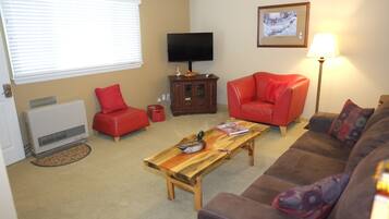 Televisión, chimenea, libros y estéreo