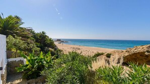 A beach with a stone wall and lush greenery in the foreground.