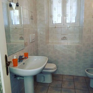 Shower, hair dryer, bidet, toilet paper