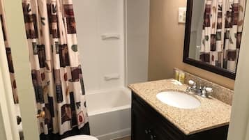 Combined shower/bathtub, hair dryer, towels, soap
