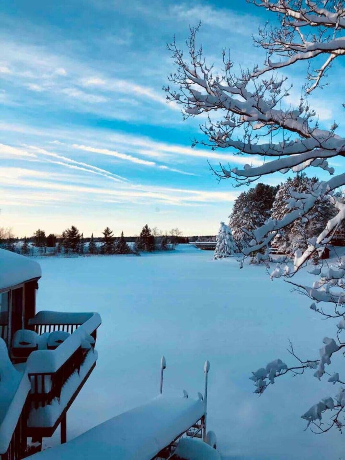 Imagen de perfil del propietario o de la propietaria