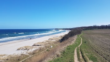 In StrandnĂ€he, LiegestĂŒhle