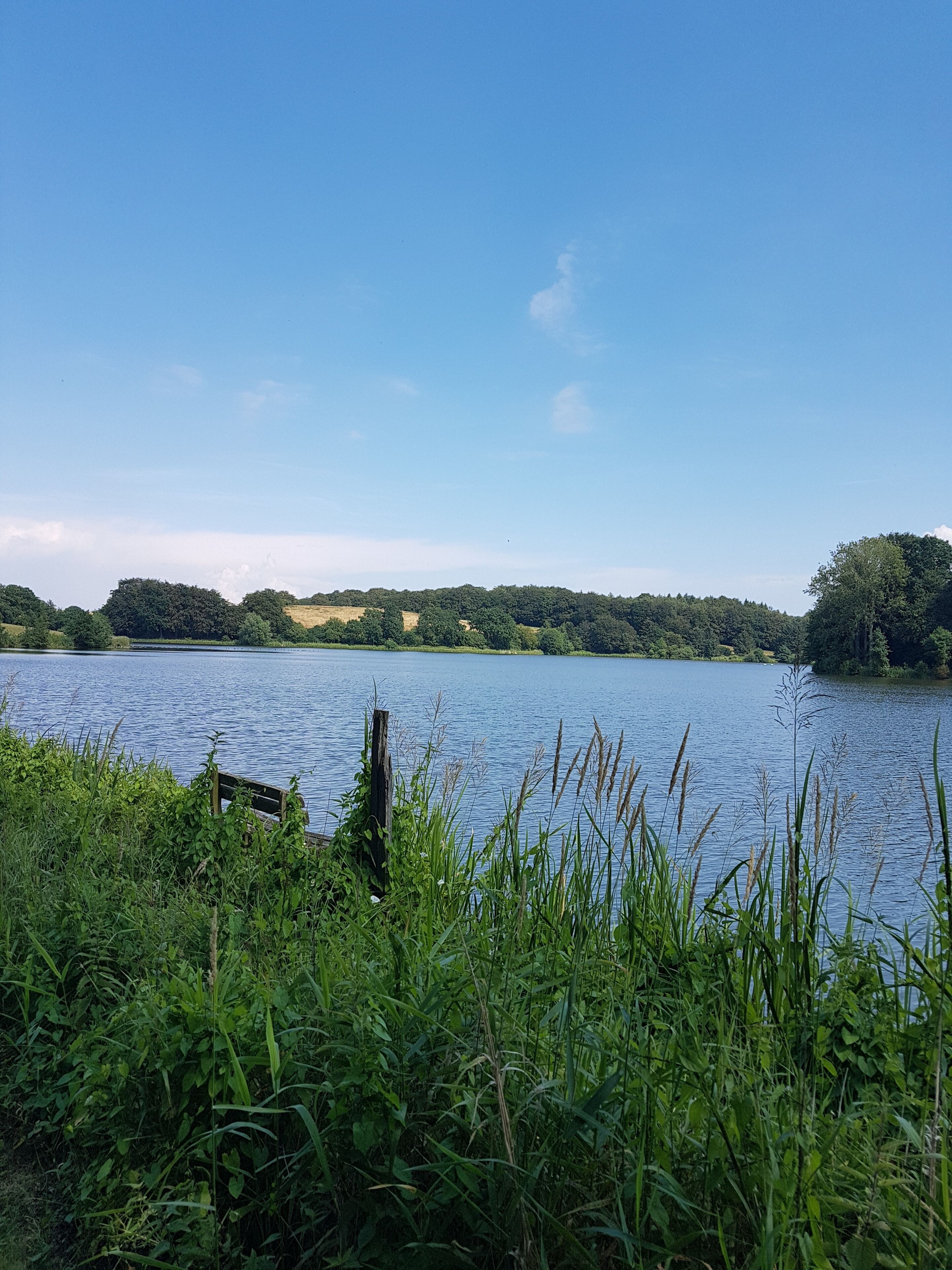 A calm lake with a wooden dock extending into the water, surrounded by lush greenery and hills in the distance.