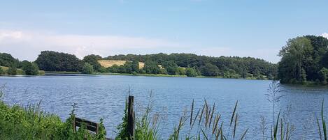 A calm lake with a wooden dock extending into the water, surrounded by lush greenery and hills in the distance.