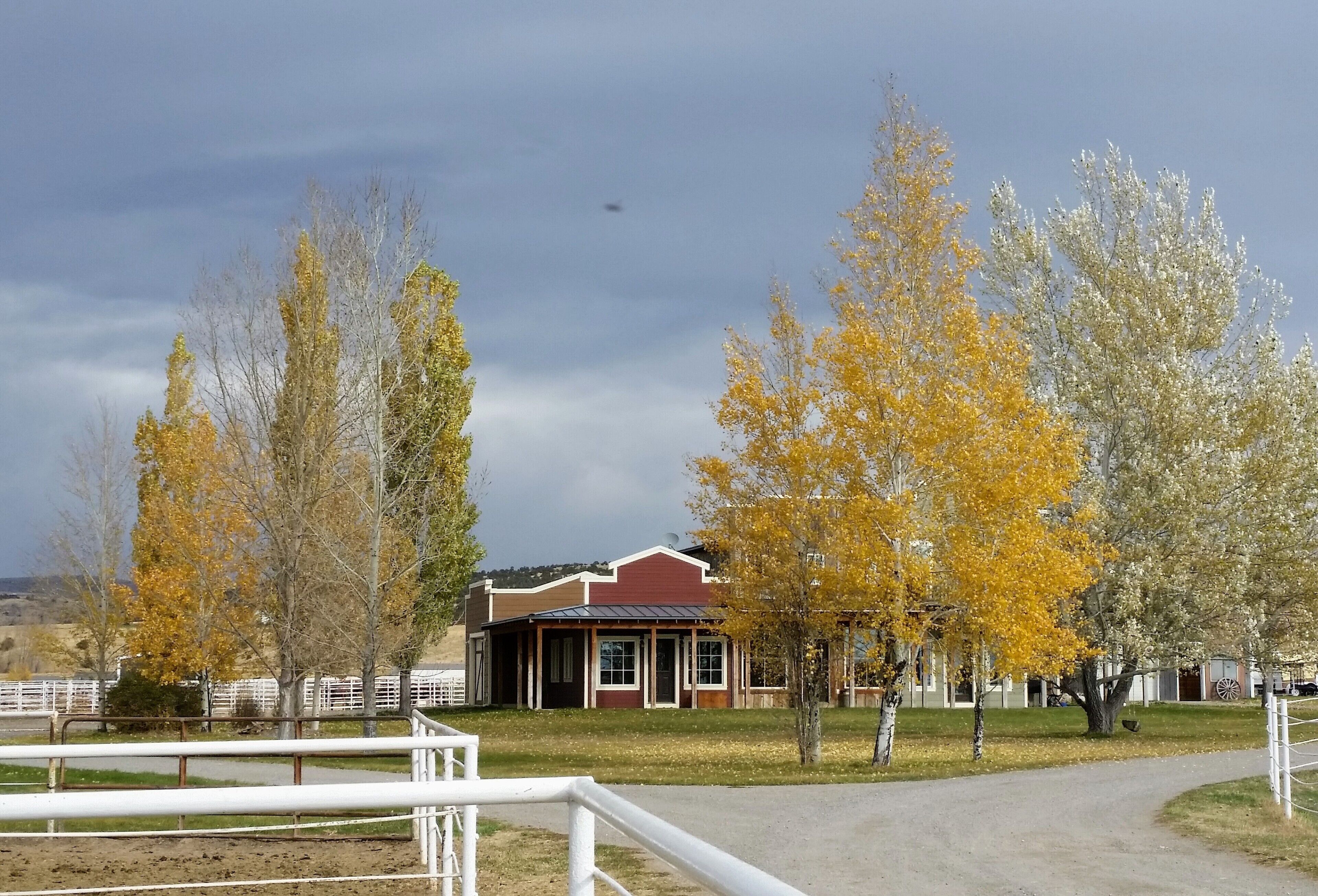 Un bâtiment avec un toit rouge et des murs blancs, entouré d’arbres aux feuilles jaunes.