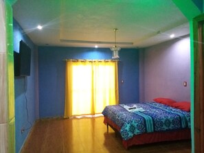 Phòng đơn, 1 giường đôi | Truy cập Internet không dây miễn phí