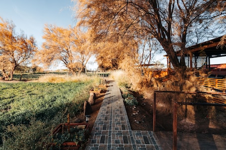 Fachada. Peumayen Atacama / Hostal & Cabaña
