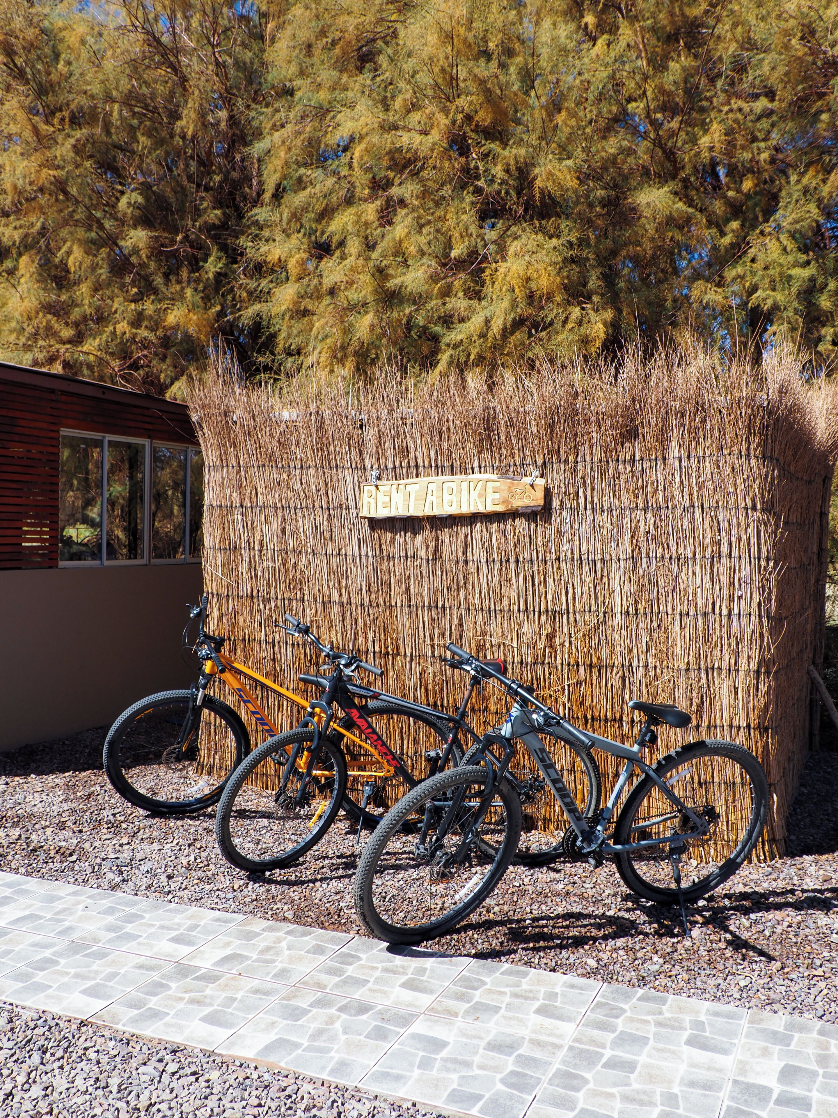 Ein Holzschild mit der Aufschrift 'RENT ABIKE', ein Bambuszaun und drei Fahrräder, die davor abgestellt sind.