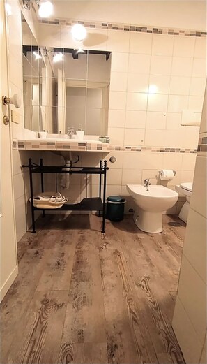 Shower, hair dryer, bidet, towels