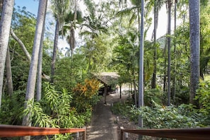 Property grounds - Magnetic Effect, 36 Mirimar Cres-BOM (Arcadia)