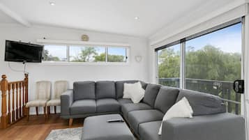 Fireplace, video games, DVD player