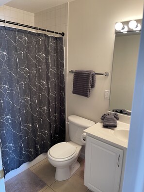 Shower, towels, toilet paper