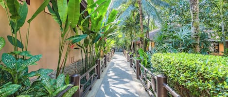 Un sendero bordeado por exuberante vegetación tropical y un edificio con tejado de baldosas.