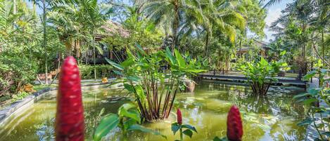 Un jardín tropical con un estanque, palmeras y un puente de madera.