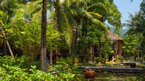 A tropical garden with palm trees, a pond, and a building with a tiled roof. - Princess Kamala Beachfront Hotel (Kamala)