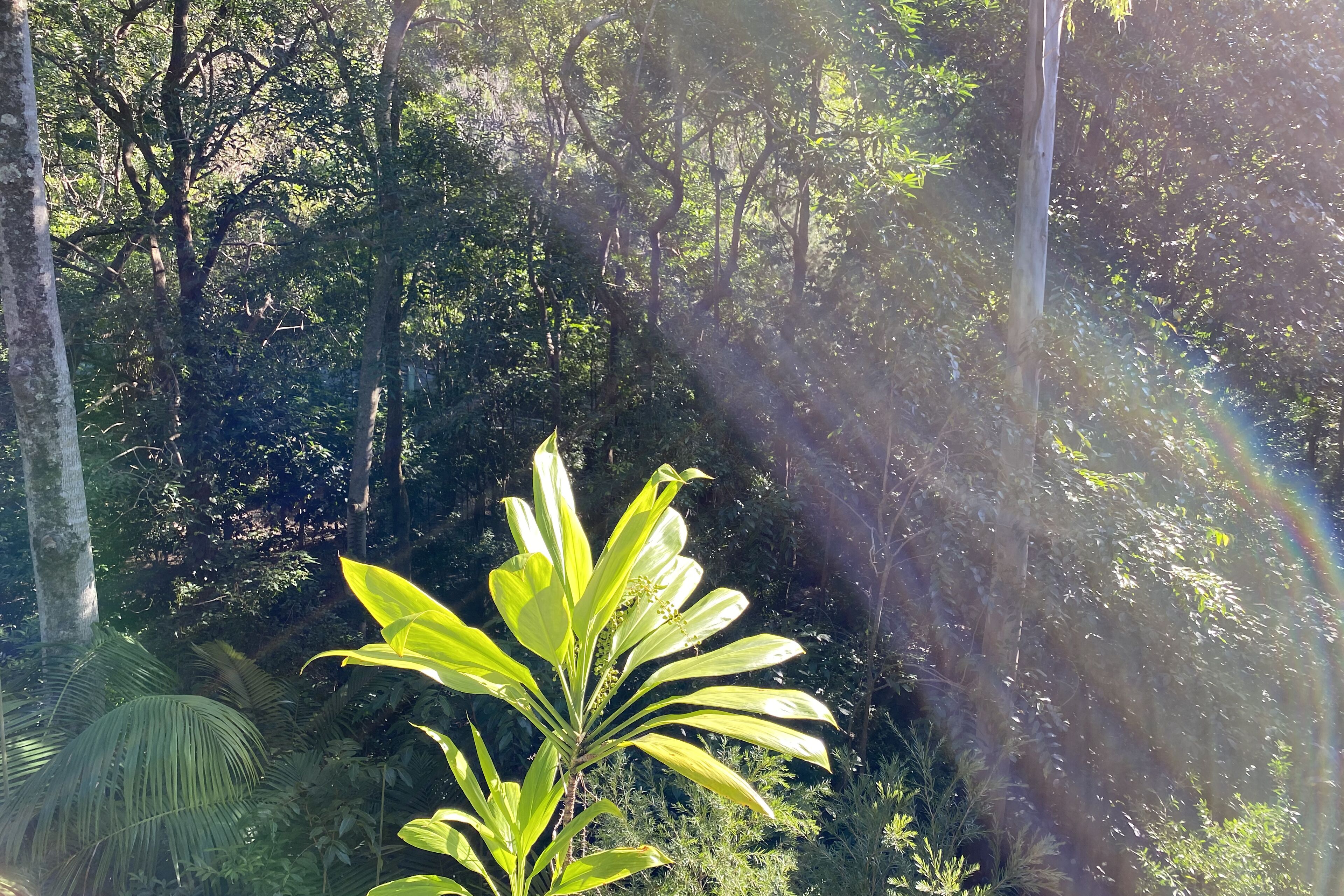 \"Sundeck Retreat\" - Private Luxury Near the Beach. — image 3
