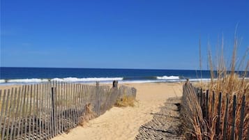 A beach pathway with a wooden fence and tall grasses.