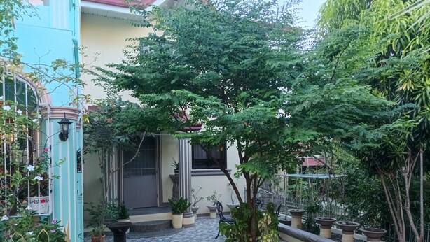 A courtyard with potted plants, a small tree, and a tiled pathway.