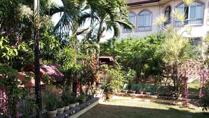 A garden with various potted plants and a pathway leading to a building.