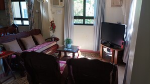 A living room with a sofa, a television on a stand, a small table with a plant, and a window with curtains.