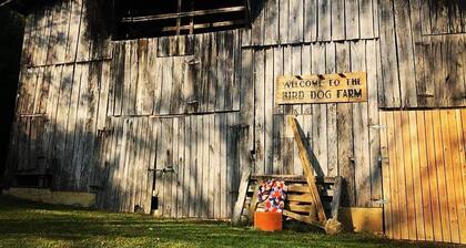 The BirdDog Farm Cabin #1