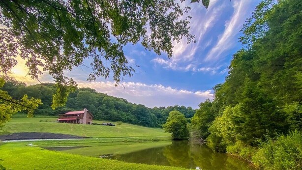 A serene landscape with a pond, lush greenery, and a red building in the distance. - The BirdDog Farm Cabin #1        (Dixon Springs)