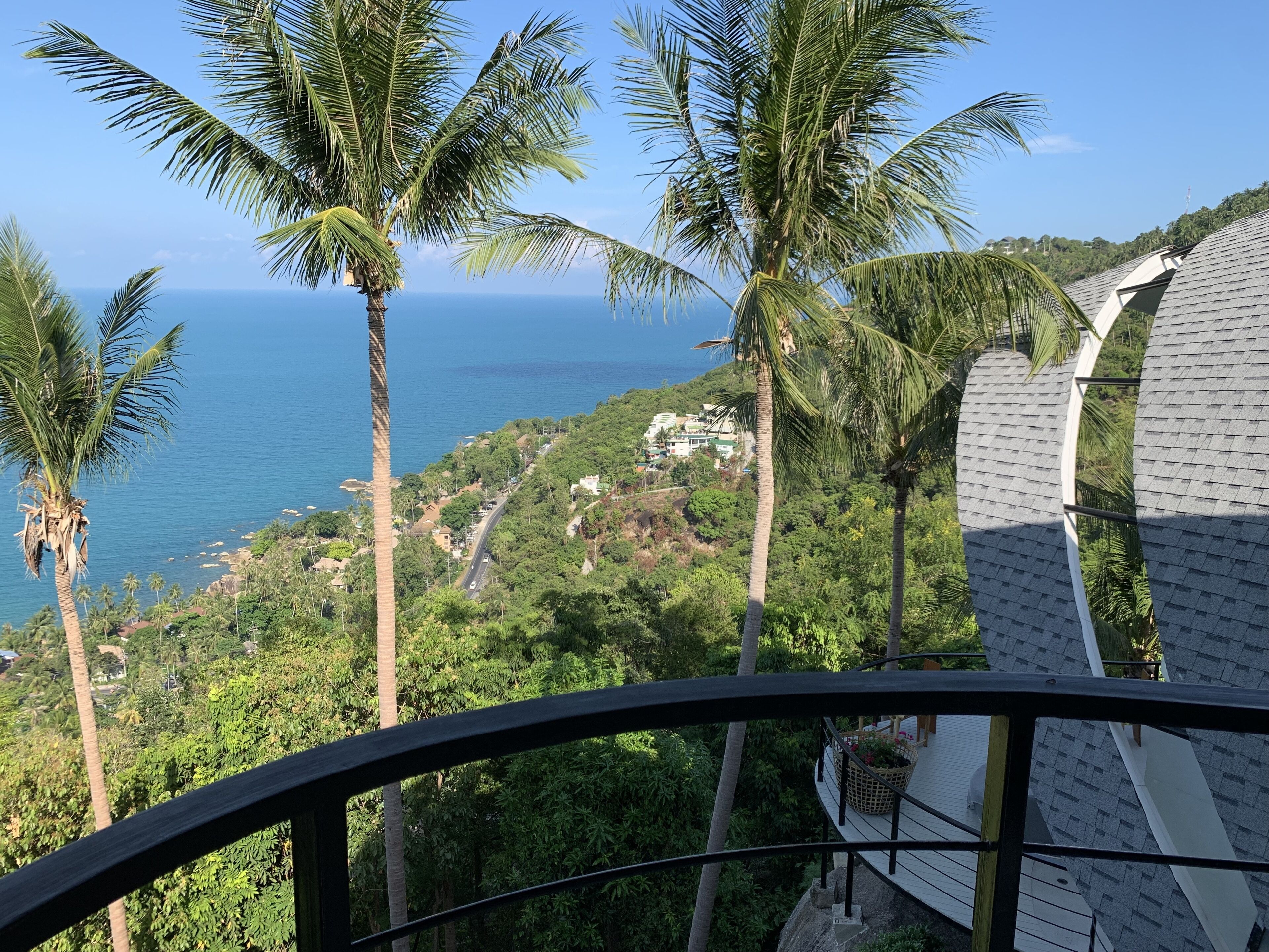 A balcony with a view of the ocean and palm trees.