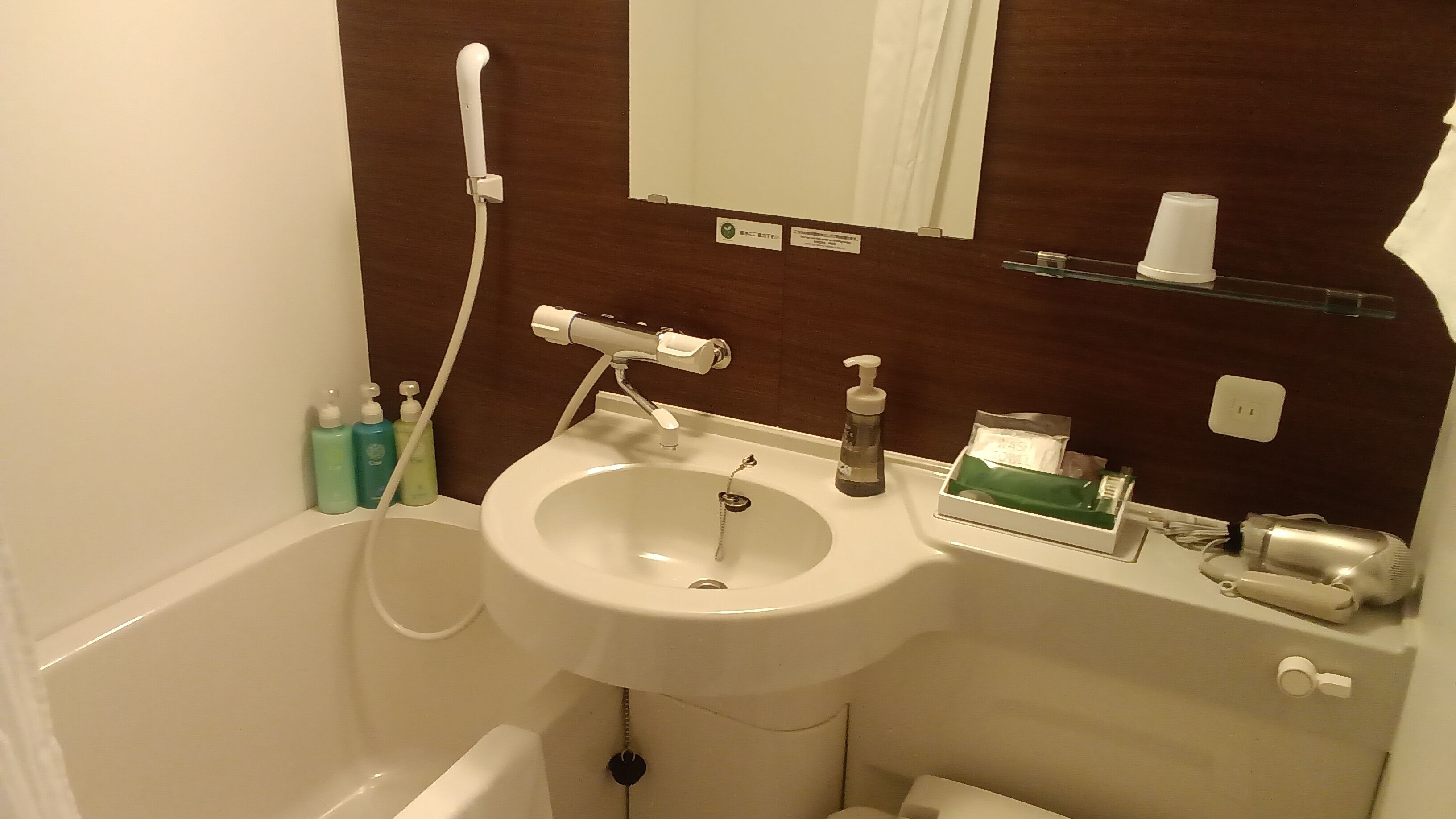 A bathroom with a white sink, a handheld showerhead, a mirror, and toiletries on the countertop.