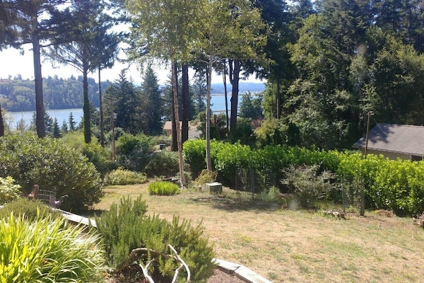 Front-Yard