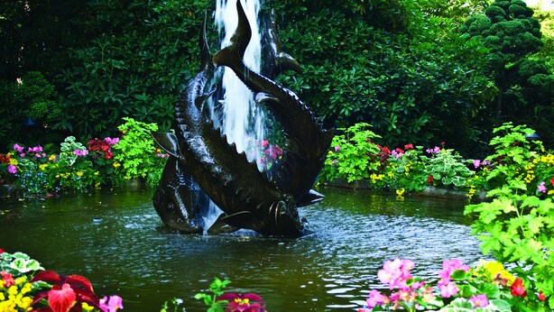 A garden with a water feature and colorful flowers. - Twinview executive one-bedroom suite (Victoria)