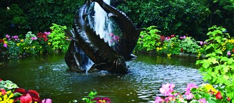 Twinview executive one-bedroom suite